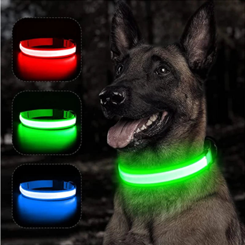 LED Rechargeable Glow Collar with Pendant – Night Safety for Small Dogs & Cats (All Sizes)