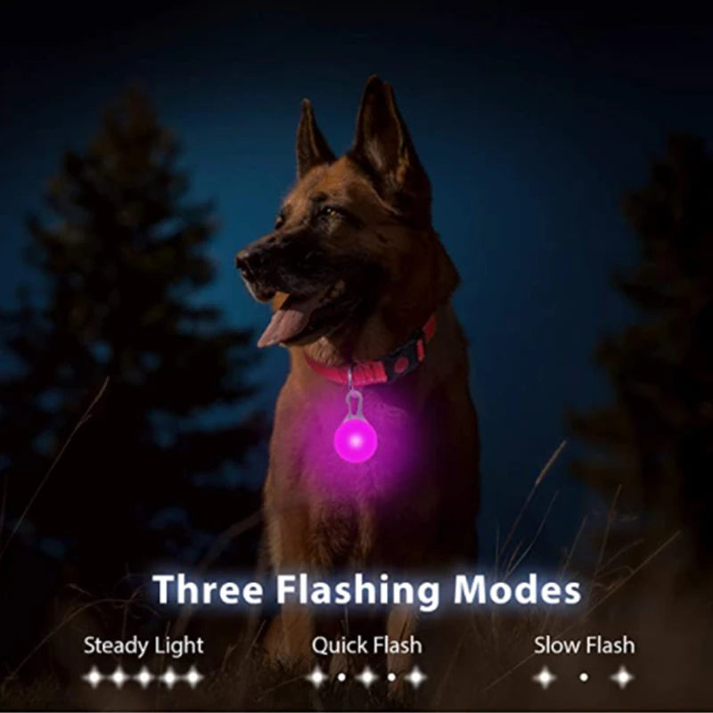 LED Rechargeable Glow Collar with Pendant – Night Safety for Small Dogs & Cats (All Sizes)