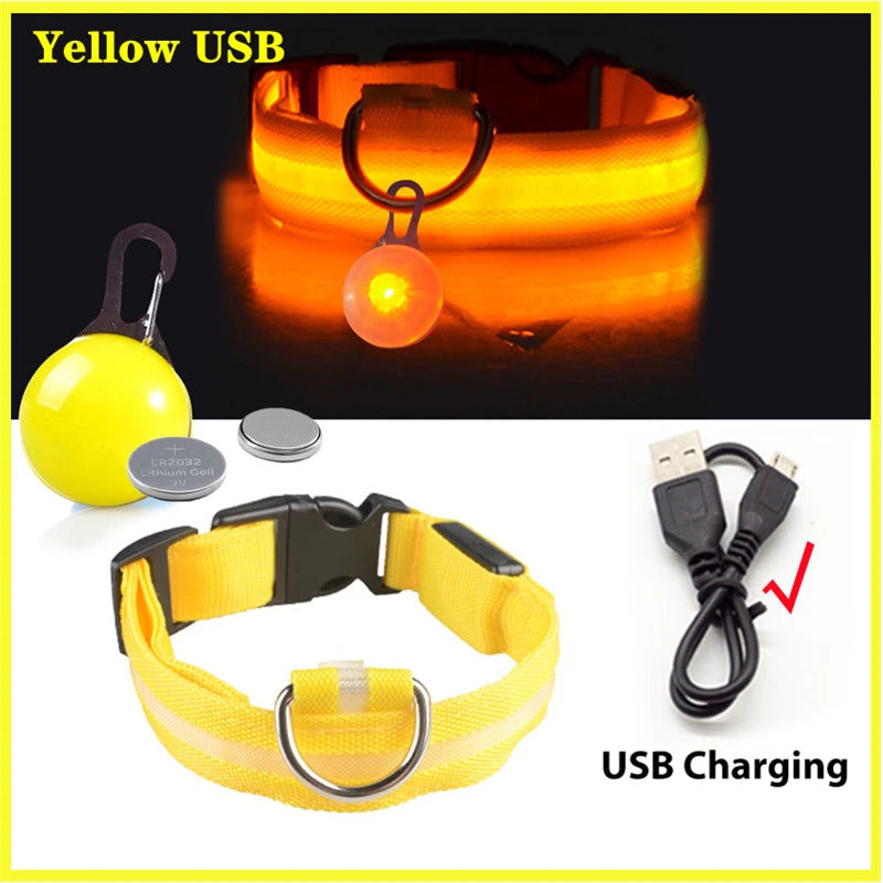 LED Rechargeable Glow Collar with Pendant – Night Safety for Small Dogs & Cats (All Sizes)