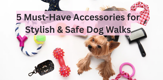 5 Must-Have Accessories for Stylish & Safe Dog Walks