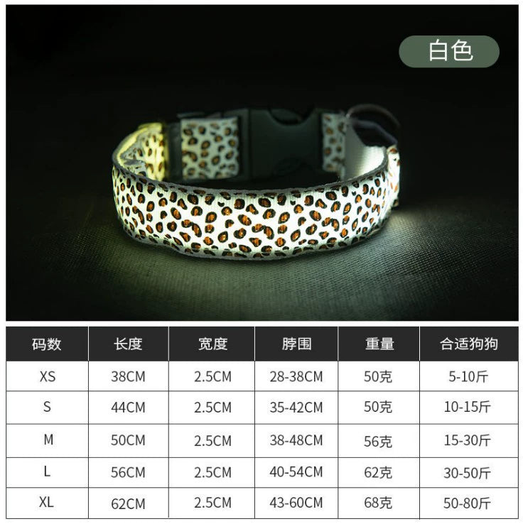 Pet Collar Charging Luminous Walking Dog Night LED Flash Dog Traction Rope Luminous Warning Anti-Lost Dog Cat Using