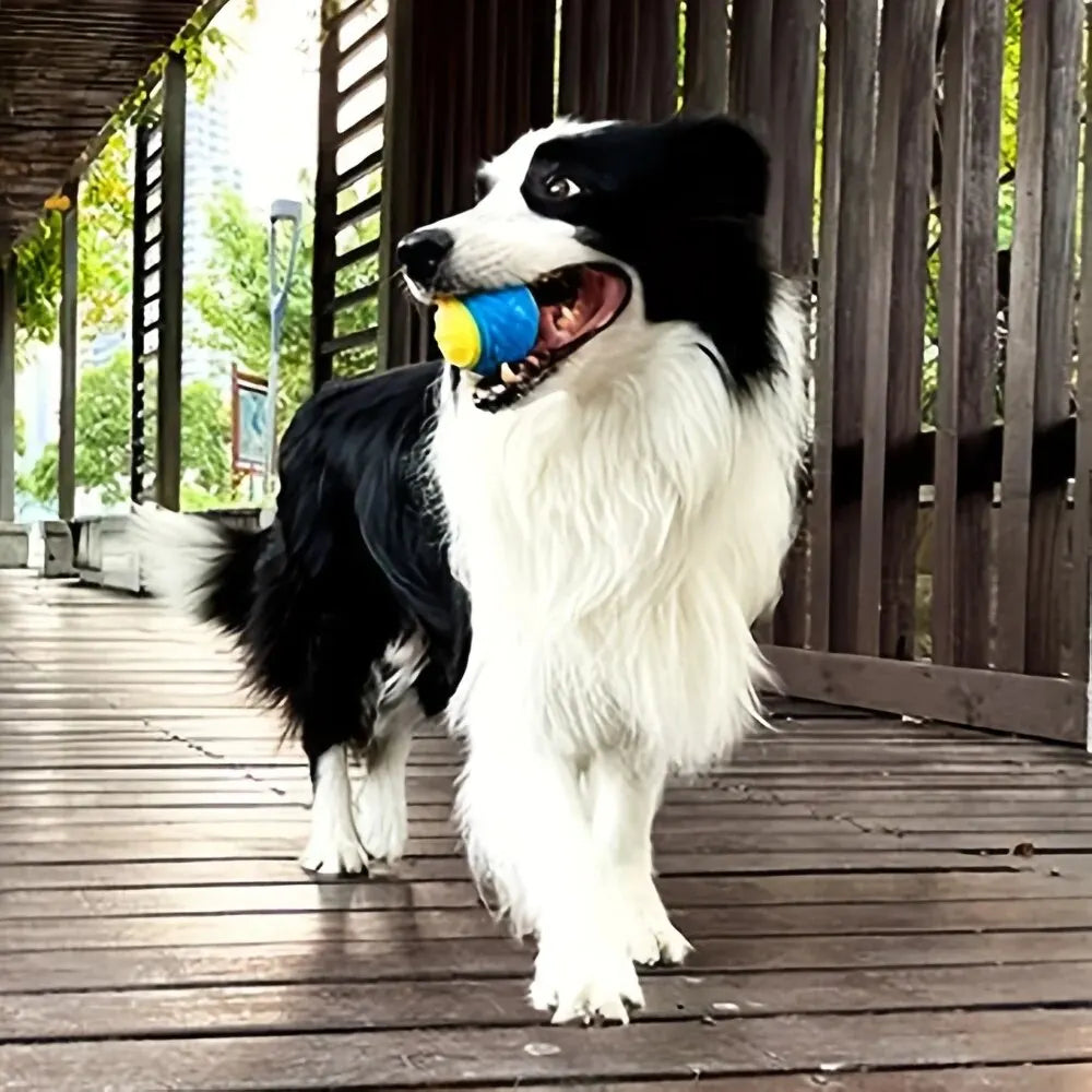 Durable Dog Chew Ball Toy – Interactive Rubber Grinding Toy for Teeth Cleaning & Play