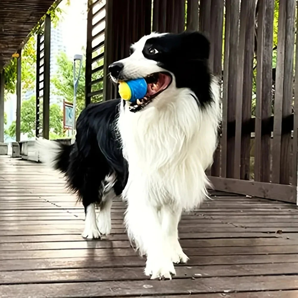 Durable Dog Chew Ball Toy – Interactive Rubber Grinding Toy for Teeth Cleaning & Play