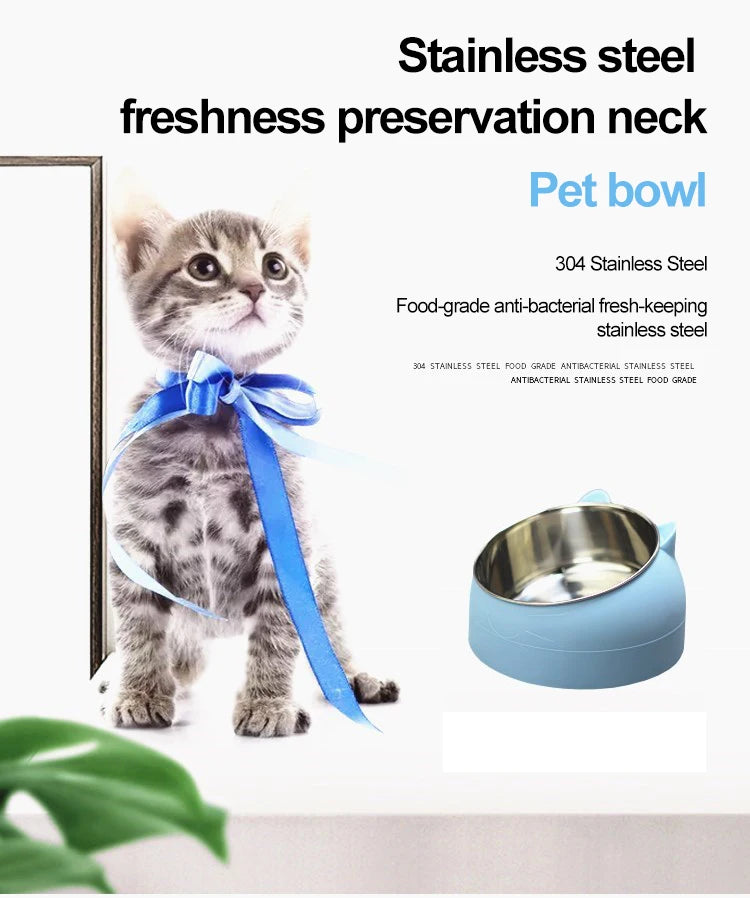 Inclined Stainless Steel Pet Bowl – Non-Slip Feeding Dish for Cats & Small Dogs