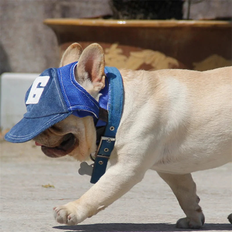 Dog Baseball Cap – Adjustable Outdoor Hat with Ear Holes for Small, Medium & Large Dogs