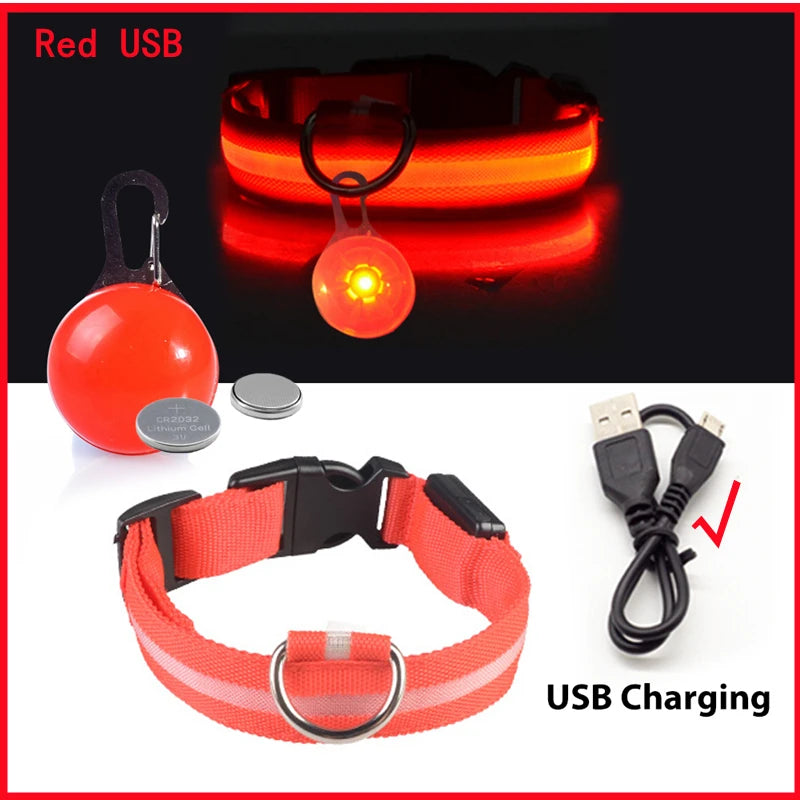 LED Rechargeable Glow Collar with Pendant – Night Safety for Small Dogs & Cats (All Sizes)