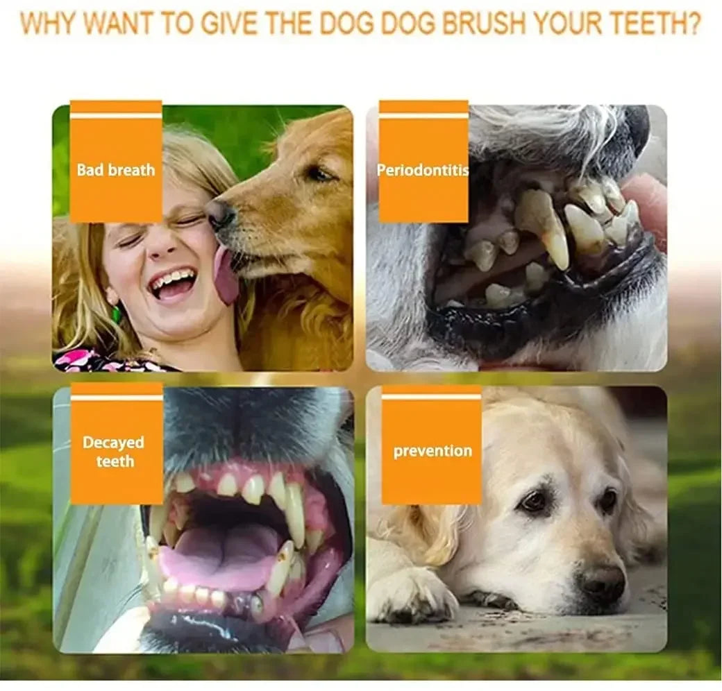 Silicone Pet Finger Toothbrush – 360° Teeth Cleaner for Dogs & Cats with Storage Cas