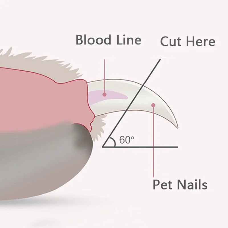 Professional LED Pet Nail Clippers – Safe & Easy Grooming for Dogs, Cats, and Small Animals