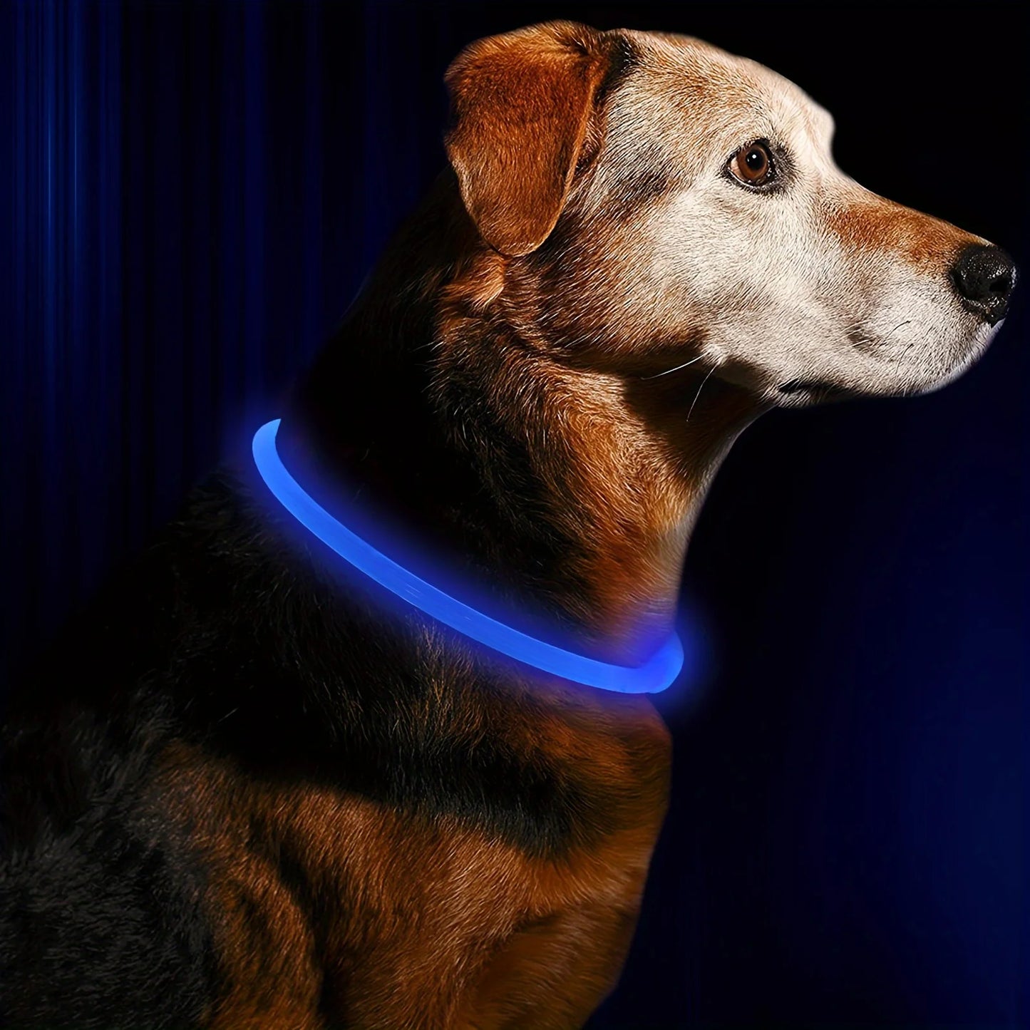 Glow-in-the-Dark Dog Collar – USB Charging LED Safety Collar for Night Walks
