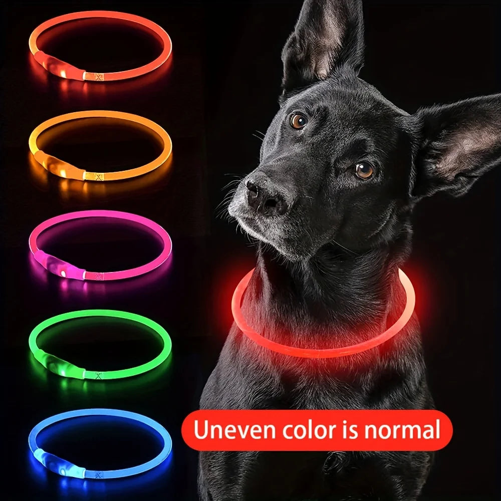 Glow-in-the-Dark Dog Collar – USB Charging LED Safety Collar for Night Walks