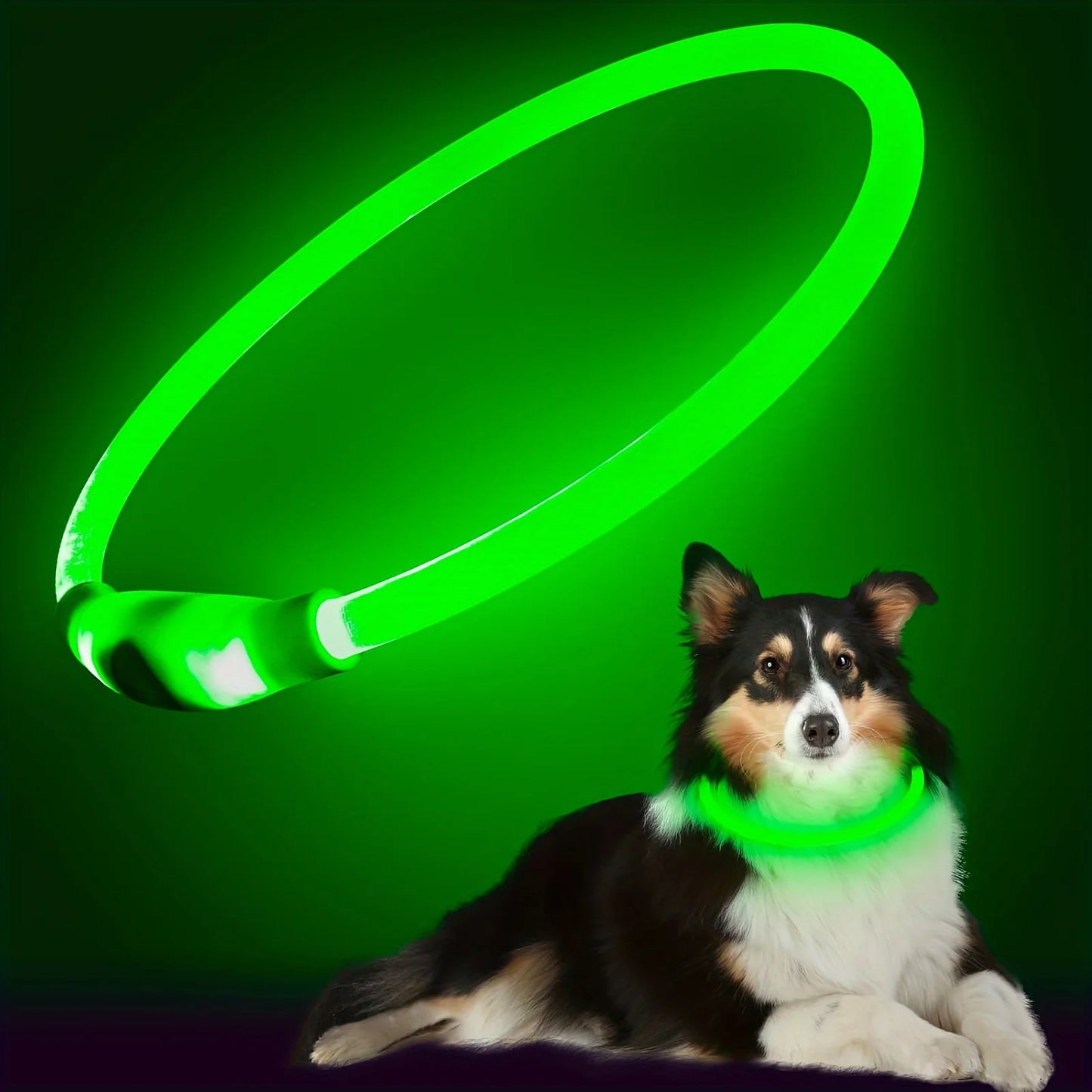 Glow-in-the-Dark Dog Collar – USB Charging LED Safety Collar for Night Walks