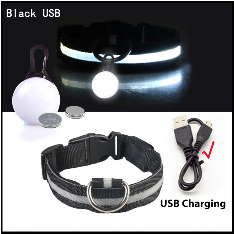 LED Rechargeable Glow Collar with Pendant – Night Safety for Small Dogs & Cats (All Sizes)