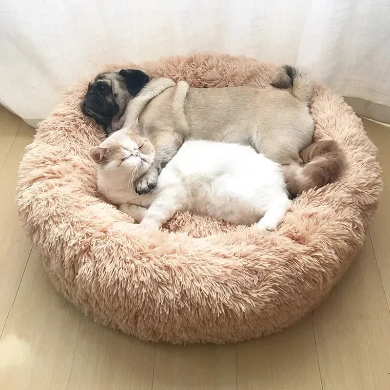 Super Soft Donut Cat & Dog Bed – Plush, Washable, Anti-Slip Pet Nest for Deep Sleep (Multiple Sizes & Colors)