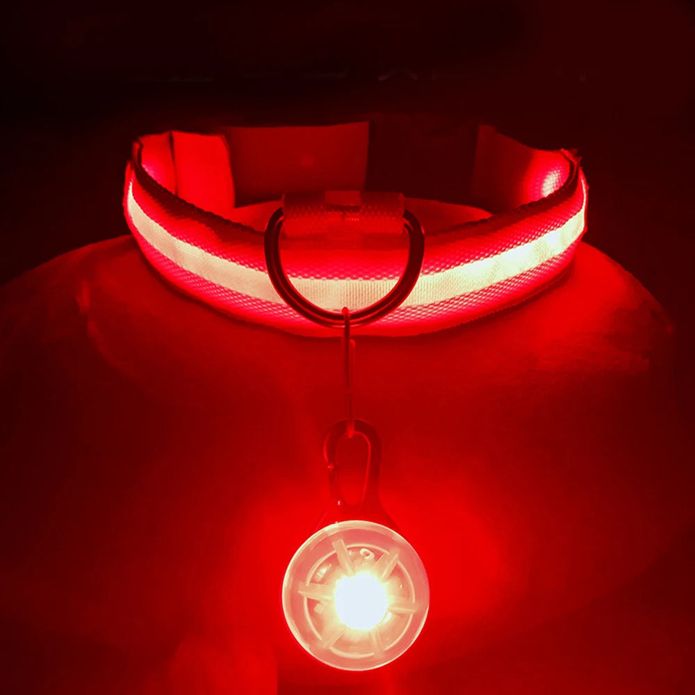 LED Rechargeable Glow Collar with Pendant – Night Safety for Small Dogs & Cats (All Sizes)