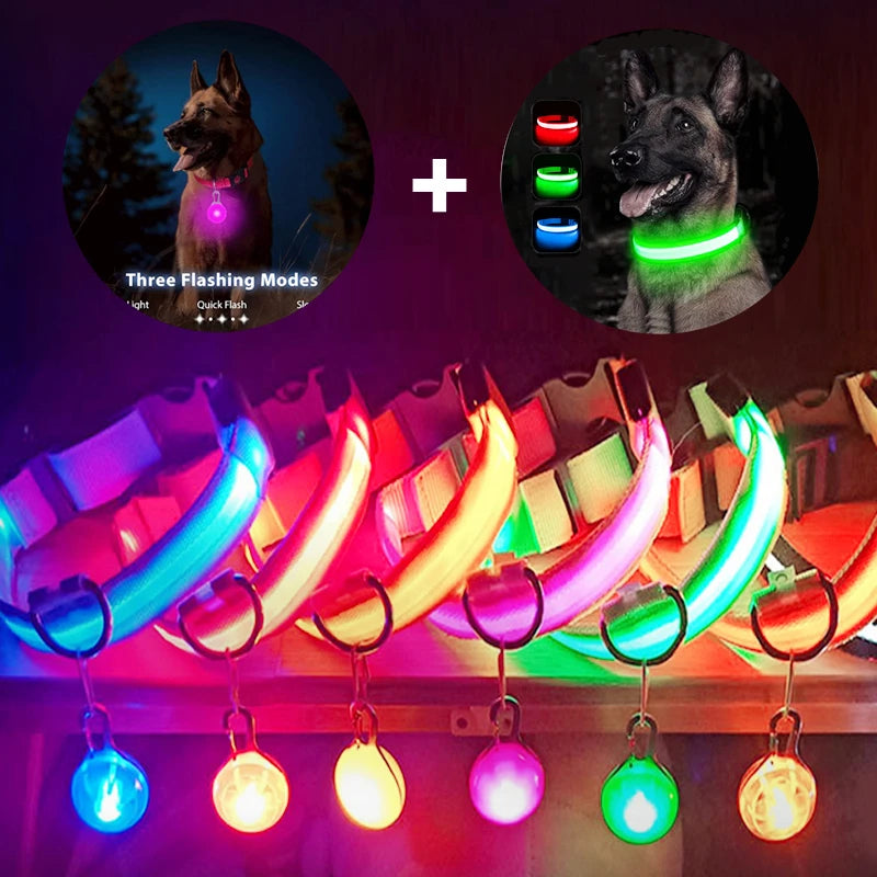 LED Rechargeable Glow Collar with Pendant – Night Safety for Small Dogs & Cats (All Sizes)