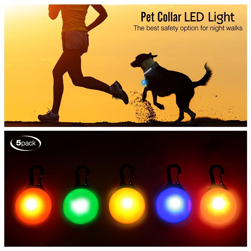 LED Rechargeable Glow Collar with Pendant – Night Safety for Small Dogs & Cats (All Sizes)